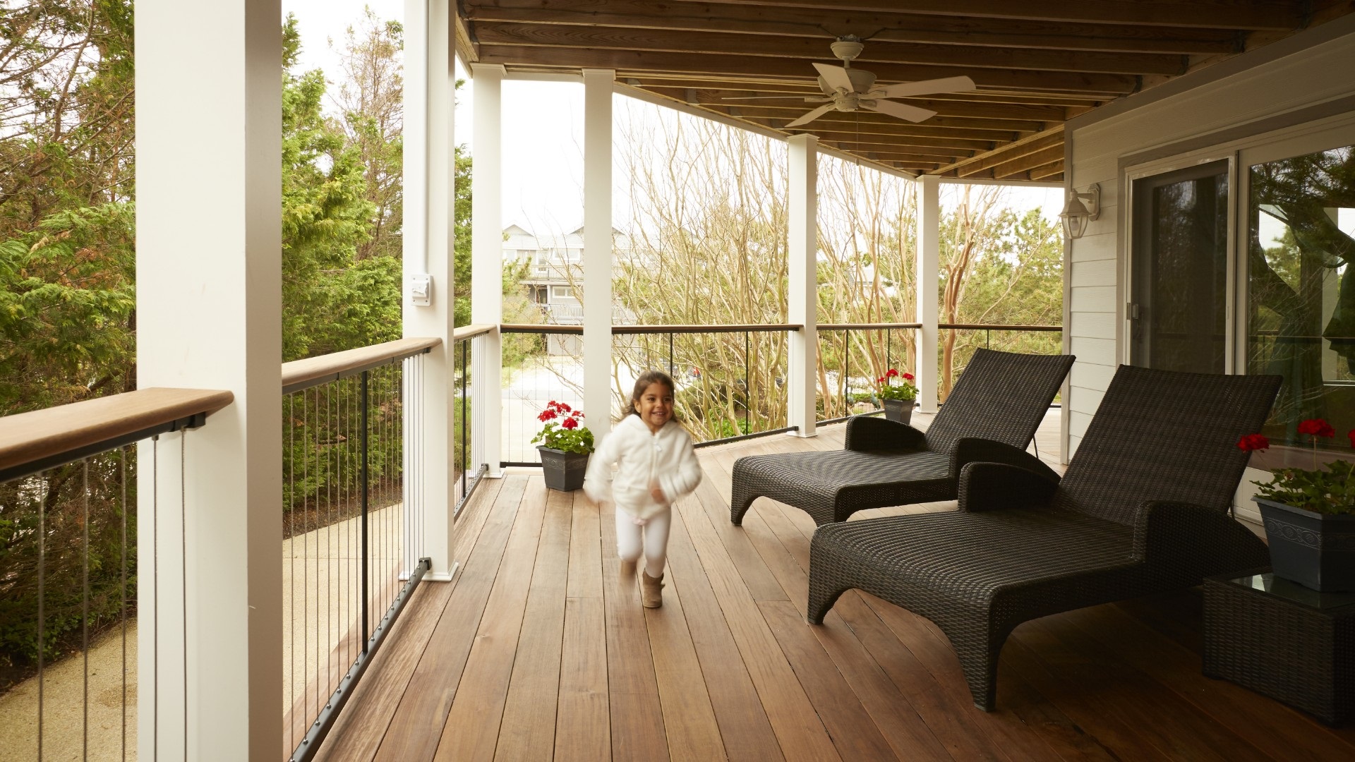 Modern Railing