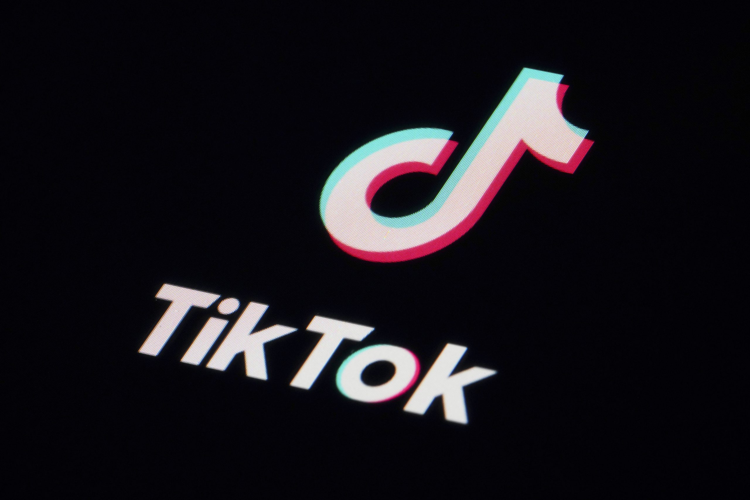 SnapTik Review