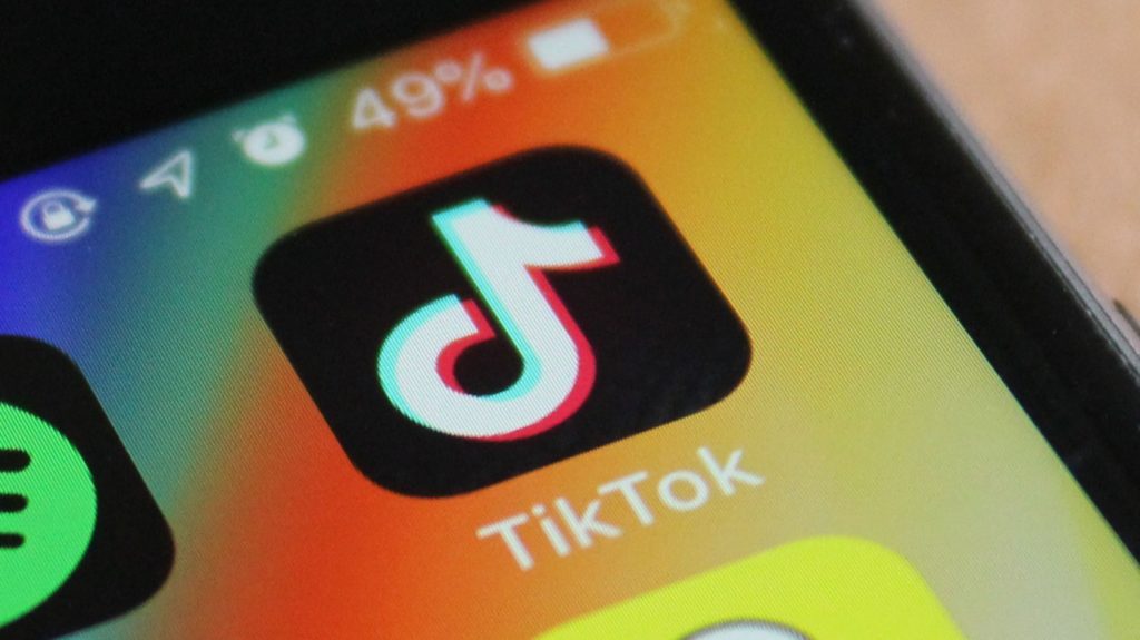 TikTok Video Saver
