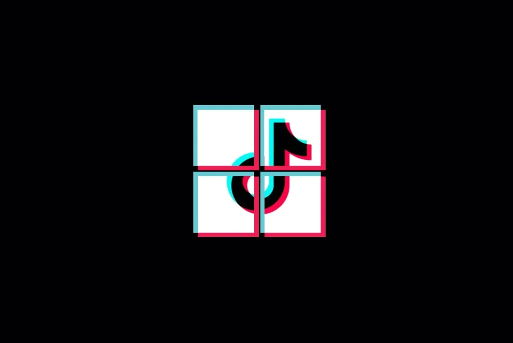 TikTok Videos Downloader