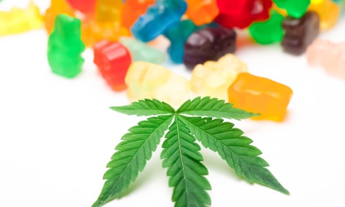 Cannabis